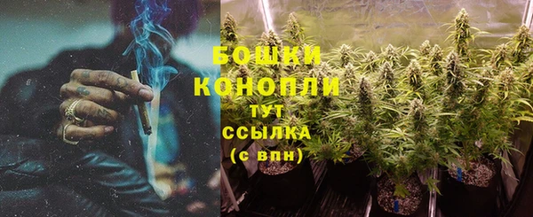 трава Алзамай