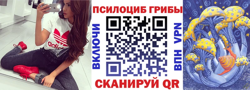 Галлюциногенные грибы мицелий  Купить где  Калязин 